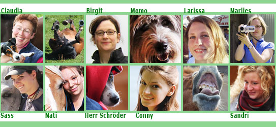 Das Reitschulteam