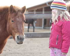 Ponyreiten für Kinder