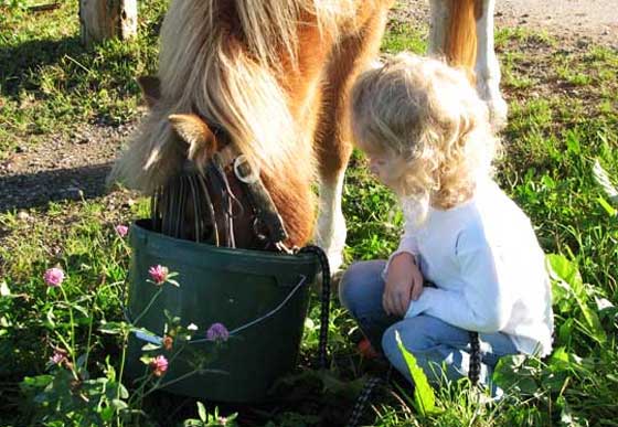 Ponyreiten