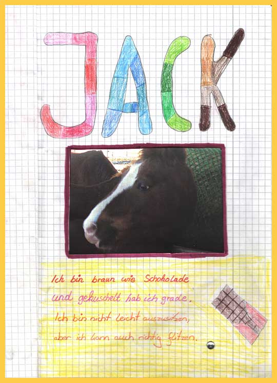 Ponyzeichnung von Jack