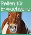 Reiten für Erwachsene