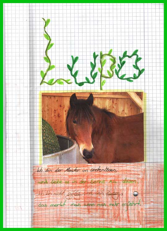 Zeichnung Pferd Lupo